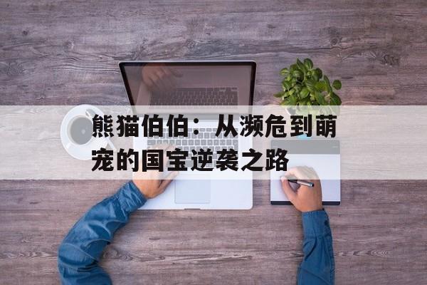 熊猫伯伯:从濒危到萌宠的国宝逆袭之路-第1张图片- 熊猫伯伯:从濒危到萌宠的国宝逆袭之路-第1张图片-