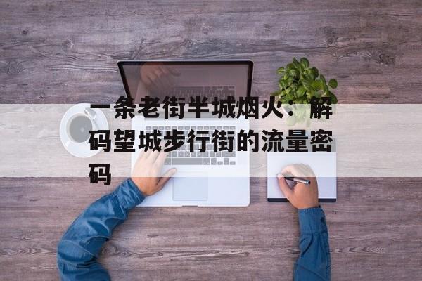 一条老街半城烟火：解码望城步行街的流量密码-第1张图片-