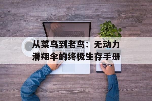 从菜鸟到老鸟：无动力滑翔伞的终极生存手册-第1张图片-