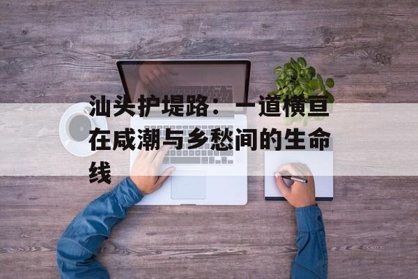 汕头护堤路：一道横亘在咸潮与乡愁间的生命线-第1张图片-