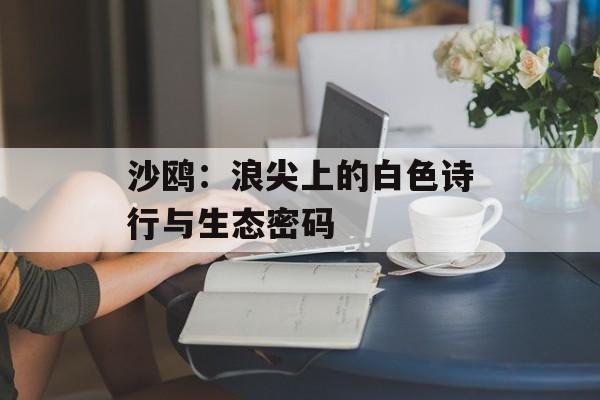 沙鸥：浪尖上的白色诗行与生态密码-第1张图片-