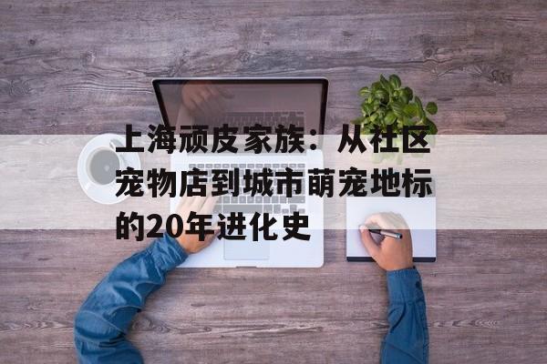 上海顽皮家族：从社区宠物店到城市萌宠地标的20年进化史-第1张图片-