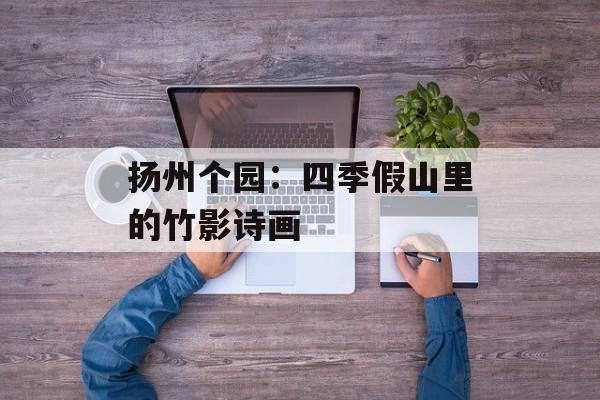 扬州个园：四季假山里的竹影诗画-第1张图片-
