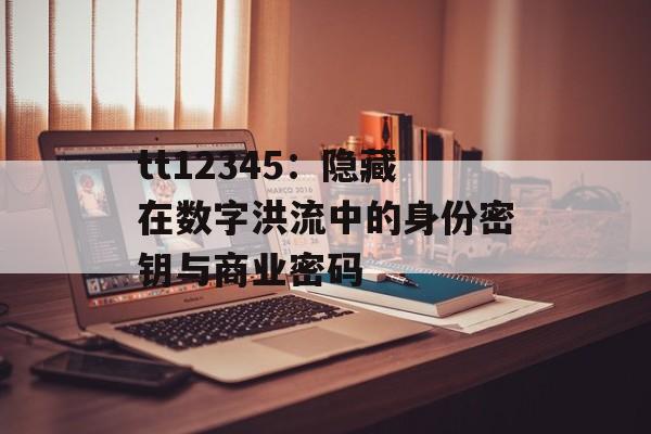 tt12345：隐藏在数字洪流中的身份密钥与商业密码-第1张图片-