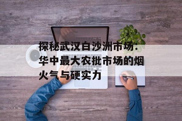 探秘武汉白沙洲市场：华中最大农批市场的烟火气与硬实力-第1张图片-