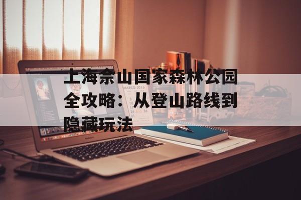 上海佘山国家森林公园全攻略：从登山路线到隐藏玩法-第1张图片-