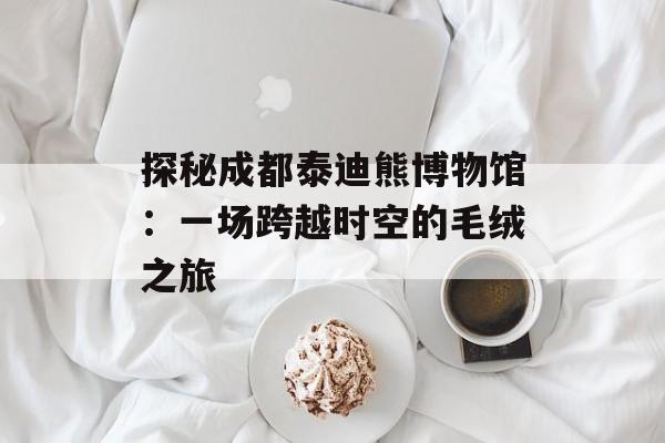 探秘成都泰迪熊博物馆：一场跨越时空的毛绒之旅-第1张图片-