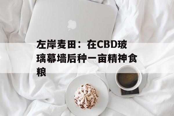 左岸麦田：在CBD玻璃幕墙后种一亩精神食粮-第1张图片-
