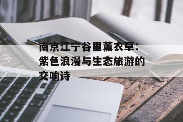 南京江宁谷里薰衣草：紫色浪漫与生态旅游的交响诗-第1张图片-