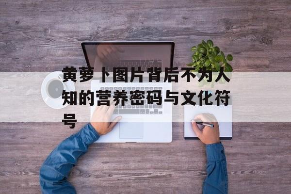 黄萝卜图片背后不为人知的营养密码与文化符号-第1张图片-