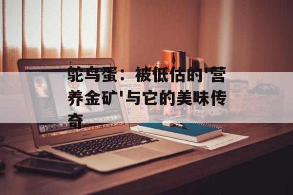 鸵鸟蛋：被低估的'营养金矿'与它的美味传奇-第1张图片-
