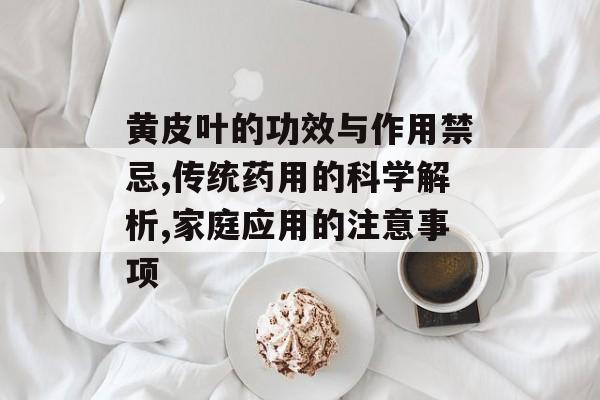 黄皮叶的功效与作用禁忌,传统药用的科学解析,家庭应用的注意事项-第1张图片-