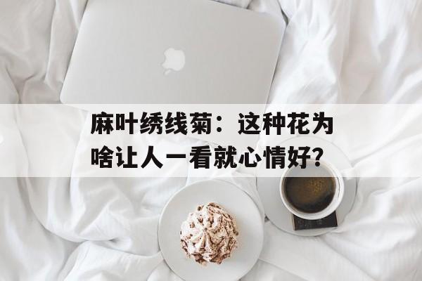 麻叶绣线菊：这种花为啥让人一看就心情好？-第1张图片-