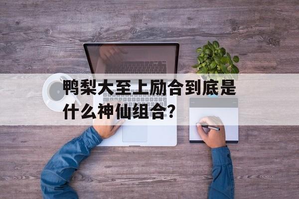 鸭梨大至上励合到底是什么神仙组合？-第1张图片-