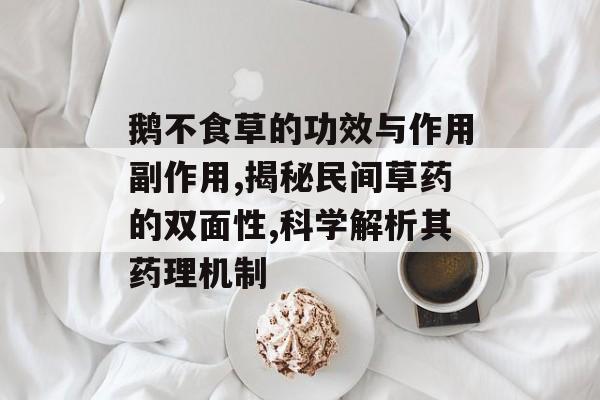 鹅不食草的功效与作用副作用,揭秘民间草药的双面性,科学解析其药理机制-第1张图片-
