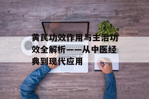 黄芪功效作用与主治功效全解析——从中医经典到现代应用-第1张图片-