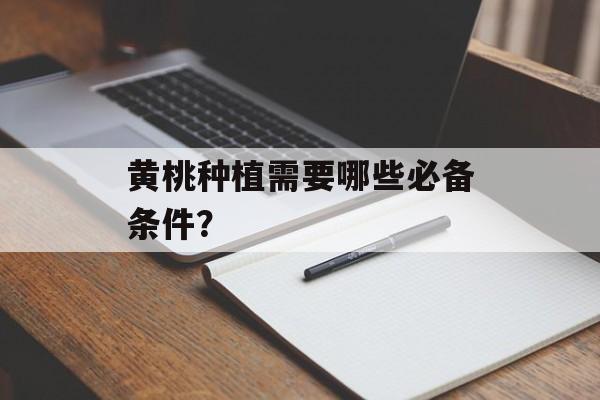 黄桃种植需要哪些必备条件？-第1张图片-