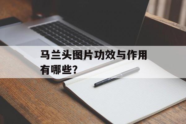 马兰头图片功效与作用有哪些？-第1张图片-