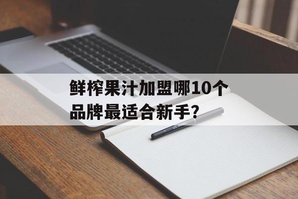鲜榨果汁加盟哪10个品牌最适合新手？-第1张图片-
