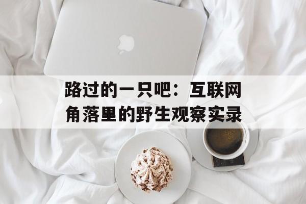 路过的一只吧：互联网角落里的野生观察实录-第1张图片-