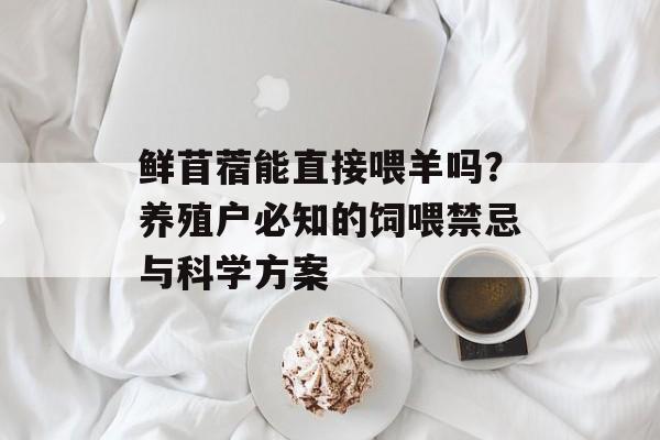 鲜苜蓿能直接喂羊吗？养殖户必知的饲喂禁忌与科学方案-第1张图片-