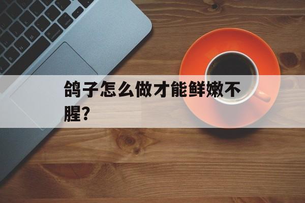 鸽子怎么做才能鲜嫩不腥？-第1张图片-
