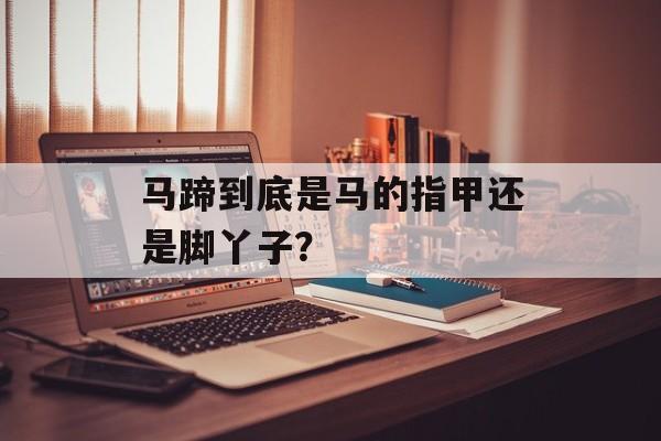 马蹄到底是马的指甲还是脚丫子？-第1张图片-
