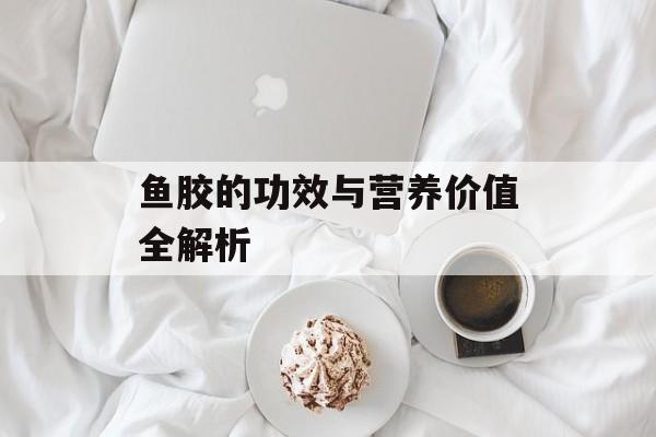鱼胶的功效与营养价值全解析-第1张图片-
