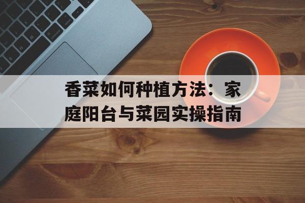 香菜如何种植方法：家庭阳台与菜园实操指南-第1张图片-