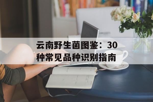 云南野生菌图鉴：30种常见品种识别指南-第1张图片-