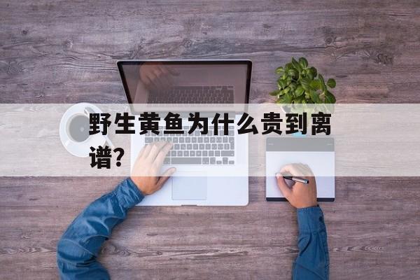 野生黄鱼为什么贵到离谱？-第1张图片-