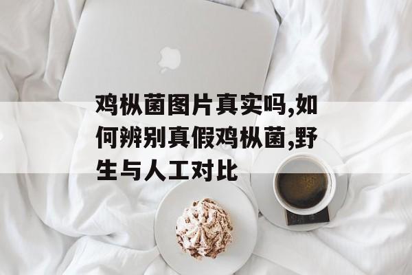 鸡枞菌图片真实吗,如何辨别真假鸡枞菌,野生与人工对比-第1张图片-