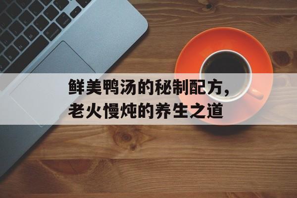 鲜美鸭汤的秘制配方,老火慢炖的养生之道-第1张图片-