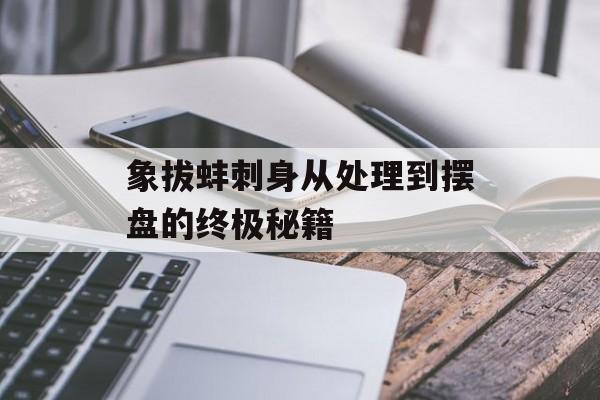 象拔蚌刺身从处理到摆盘的终极秘籍-第1张图片-