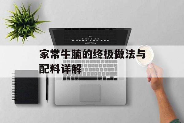 家常牛腩的终极做法与配料详解-第1张图片-