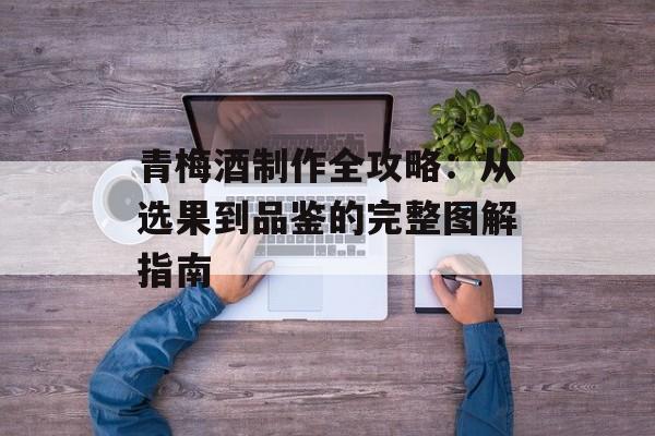 青梅酒制作全攻略：从选果到品鉴的完整图解指南-第1张图片-