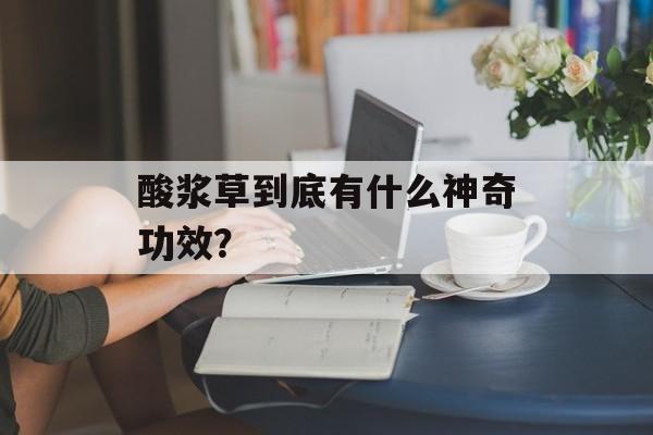酸浆草到底有什么神奇功效？-第1张图片-