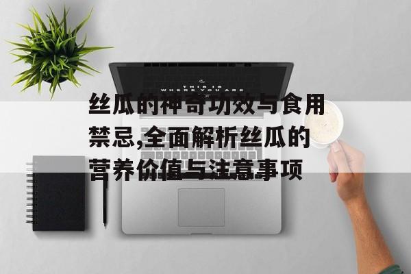 丝瓜的神奇功效与食用禁忌,全面解析丝瓜的营养价值与注意事项-第1张图片-