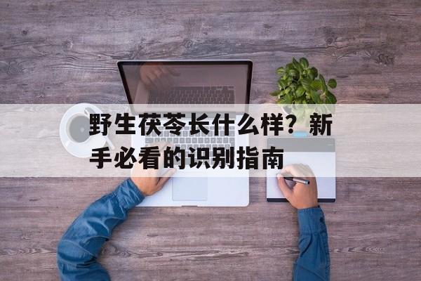 野生茯苓长什么样？新手必看的识别指南-第1张图片-