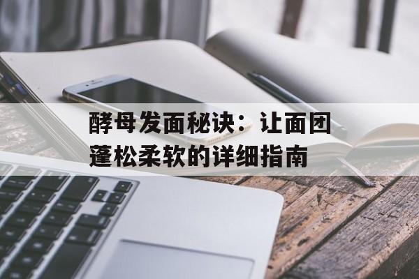 酵母发面秘诀：让面团蓬松柔软的详细指南-第1张图片-