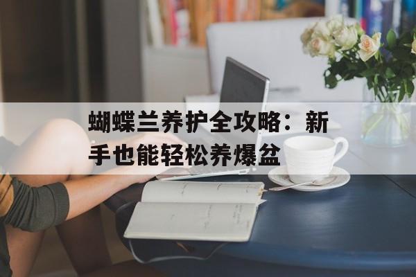 蝴蝶兰养护全攻略：新手也能轻松养爆盆-第1张图片-