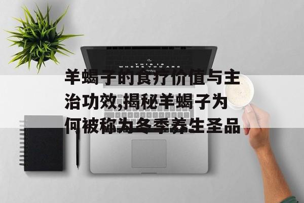 羊蝎子的食疗价值与主治功效,揭秘羊蝎子为何被称为冬季养生圣品-第1张图片-