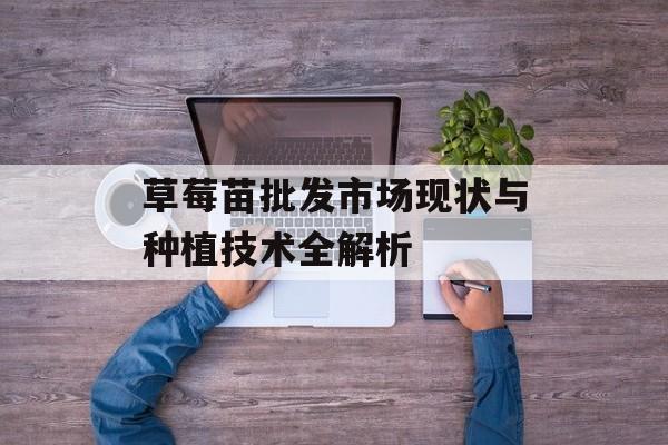 草莓苗批发市场现状与种植技术全解析-第1张图片-