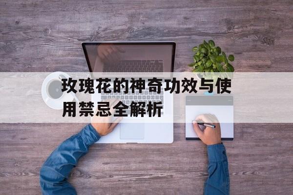 玫瑰花的神奇功效与使用禁忌全解析-第1张图片-