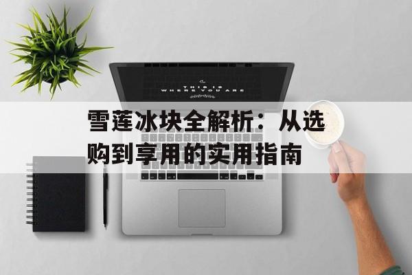 雪莲冰块全解析：从选购到享用的实用指南-第1张图片-