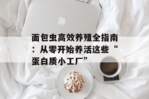 面包虫高效养殖全指南:从零开始养活这些“蛋白质小工厂”-第1张图片- 面包虫高效养殖全指南:从零开始养活这些“蛋白质小工厂”-第1张图片-