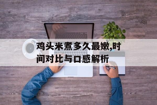 鸡头米煮多久最嫩,时间对比与口感解析-第1张图片-