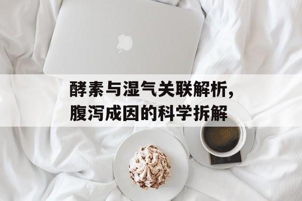 酵素与湿气关联解析,腹泻成因的科学拆解-第1张图片-