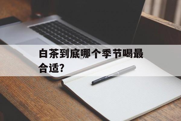 白茶到底哪个季节喝最合适？-第1张图片-