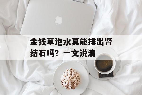 金钱草泡水真能排出肾结石吗？一文说清-第1张图片-
